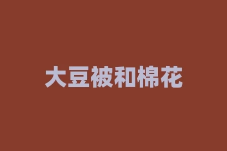 大豆被和棉花被哪种好?如何选择最适合的被子? 大豆被和棉花被哪种好?如何选择最适合的被子?