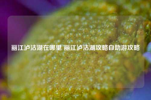 丽江泸沽湖在哪里 丽江泸沽湖攻略自助游攻略