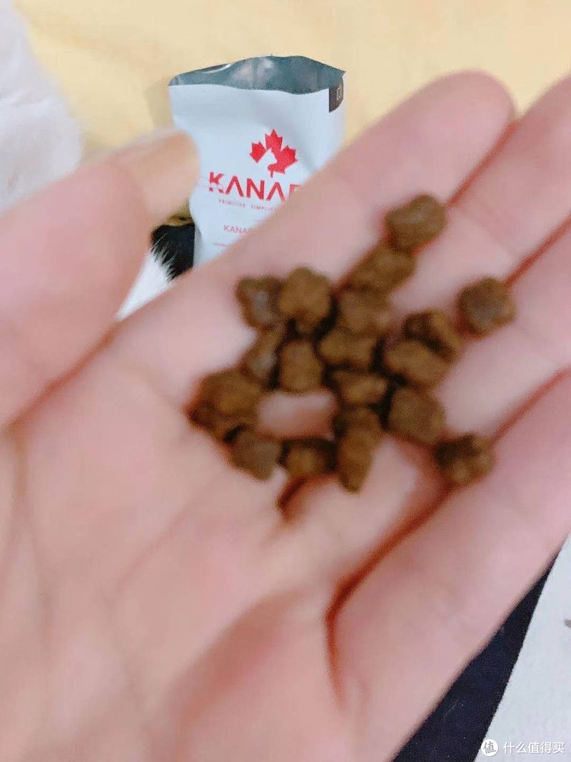 为啥猫粮里要有甜菜粕？？？