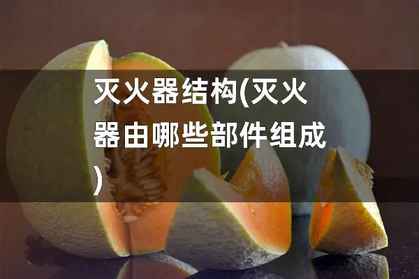 灭火器结构(灭火器由哪些部件组成)