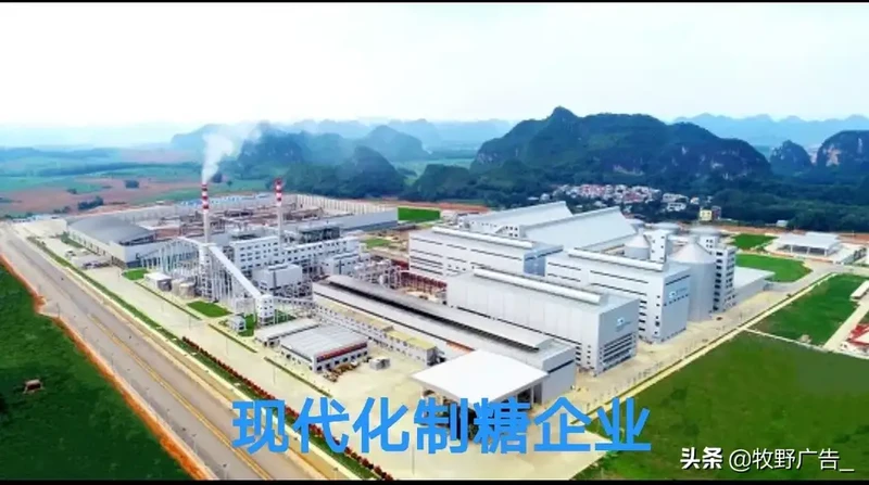 糖厂现在到底赚不赚钱