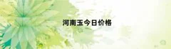 河南玉今日价格