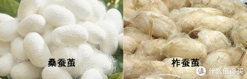 别再盖8斤重的棉被了！这个有温度的睡眠方案快拿去