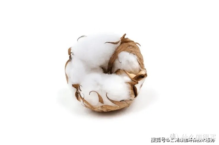 冬季保暖衣物材质选择-棉花