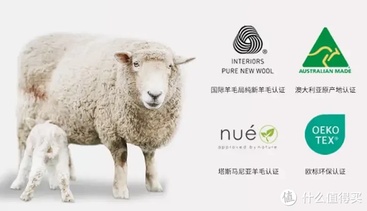 被子选购攻略!羽绒被应该如何选?聚酯纤维被值得买吗?桑蚕丝和柞蚕丝选哪个?超舒服的夏凉被推荐!