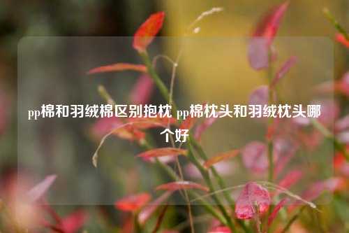 pp棉和羽绒棉区别抱枕 pp棉枕头和羽绒枕头哪个好