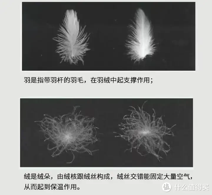 被子选购攻略!羽绒被应该如何选?聚酯纤维被值得买吗?桑蚕丝和柞蚕丝选哪个?超舒服的夏凉被推荐!