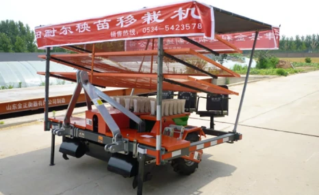 山东金利达2ZBX-3秧苗移栽机