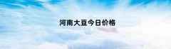 河南大豆今日价格
