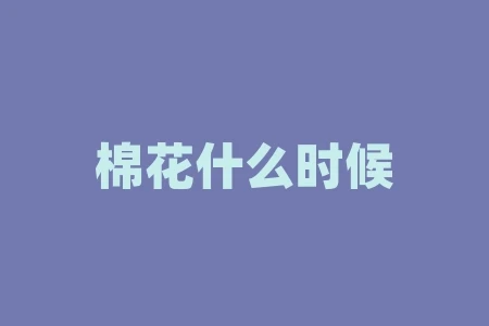 棉花什么时候成熟?如何收获和加工? 棉花什么时候成熟?如何收获和加工?