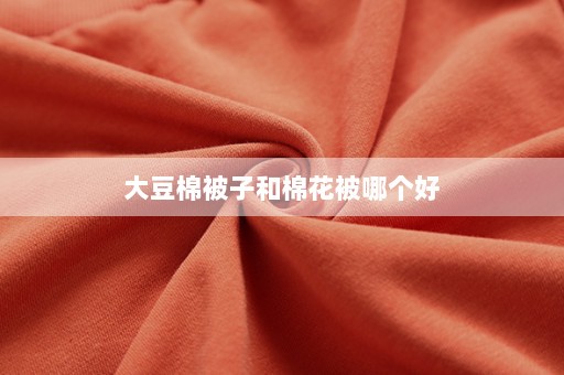 大豆棉被子和棉花被哪个好⎛⎞大豆棉被子和棉花被哪个好聚酯纤维