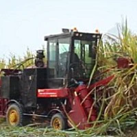中首信4GQ-GZ180甘蔗收割机