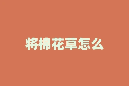 将棉花草怎么吃?五种吃法让你大开眼界! 将棉花草怎么吃?五种吃法让你大开眼界!