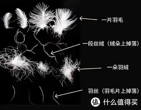 被子选购攻略!羽绒被应该如何选?聚酯纤维被值得买吗?桑蚕丝和柞蚕丝选哪个?超舒服的夏凉被推荐!