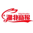 湖北商报网