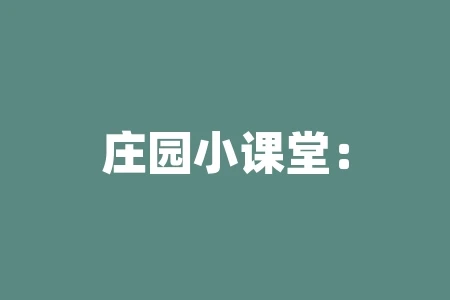 庄园小课堂:棉花是植物的花吗?历史上的棉花种植和现代棉花产业 庄园小课堂:棉花是植物的花吗?历史上的棉花种植和现代棉花产业