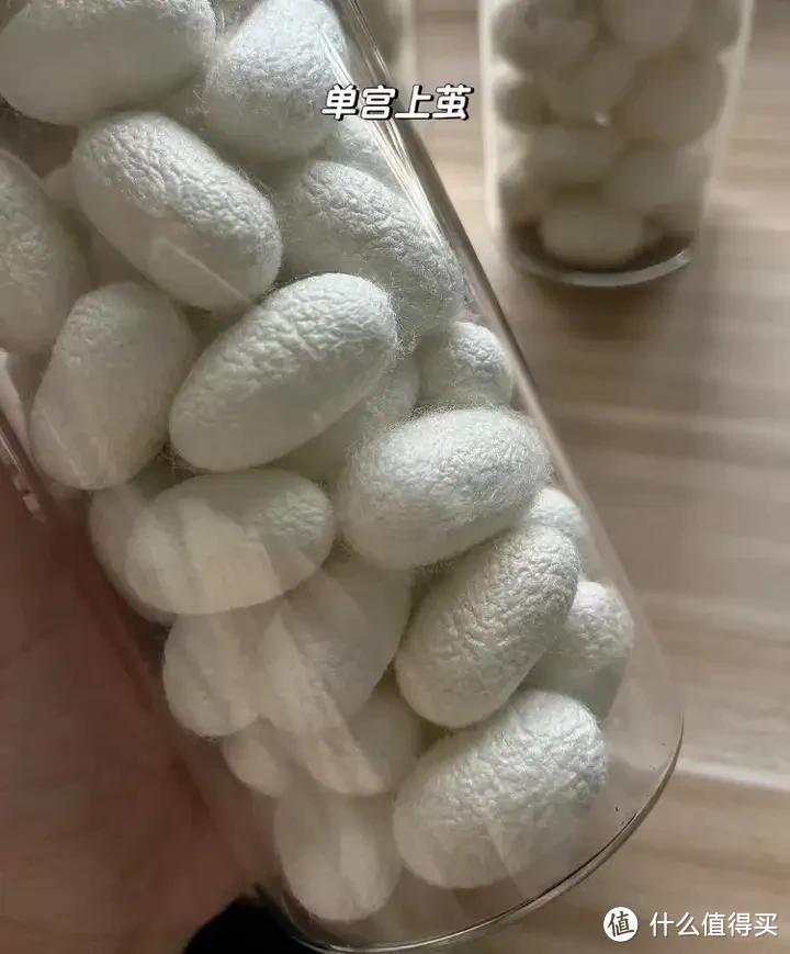 被子选购攻略!羽绒被应该如何选?聚酯纤维被值得买吗?桑蚕丝和柞蚕丝选哪个?超舒服的夏凉被推荐!