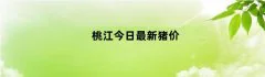 桃江今日最新猪价