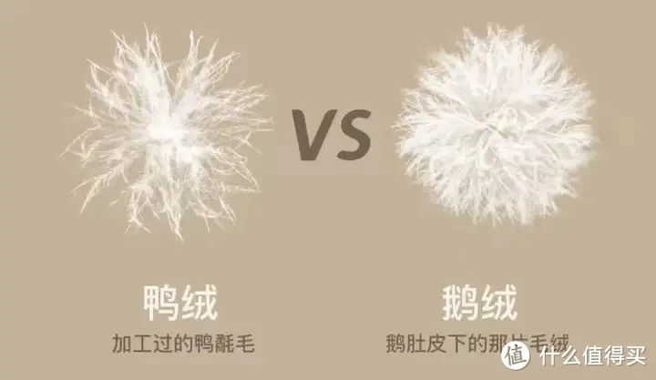被子选购攻略!羽绒被应该如何选?聚酯纤维被值得买吗?桑蚕丝和柞蚕丝选哪个?超舒服的夏凉被推荐!