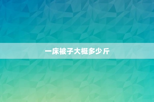 一床被子大概多少斤 ⎛⎞床上铺的褥子一般几斤