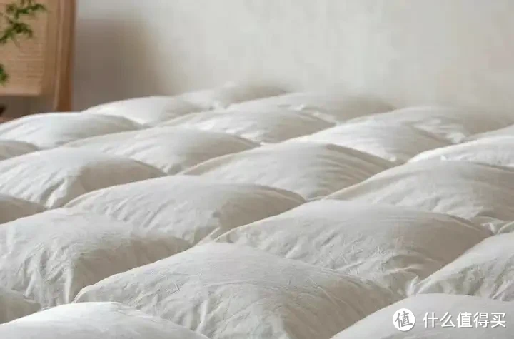 被子选购攻略!羽绒被应该如何选?聚酯纤维被值得买吗?桑蚕丝和柞蚕丝选哪个?超舒服的夏凉被推荐!
