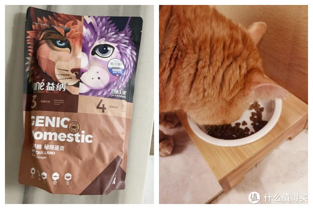 猫粮测评1丨猫粮什么牌子好？猫粮性价比推荐，深度猫粮测评分析