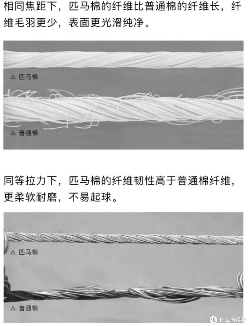 7000字长文干货｜2022年夏季怎么选T恤，看这一篇就真的够了（内含面料、工艺、版型、印花等板块全解析）