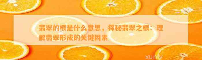 翡翠的根是什么意思，探秘翡翠之根：理解翡翠形成的关键因素