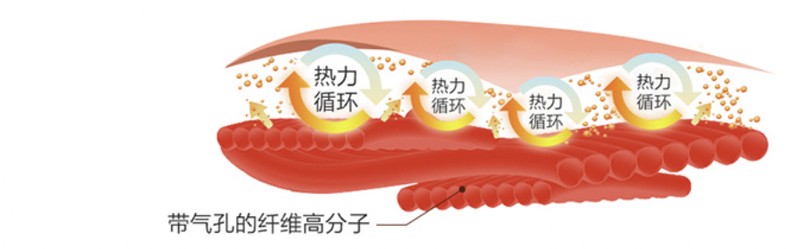 每日好物：万千别小瞧纤维被，保暖、透气、不板结！百元预算随便挑~
