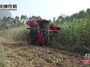 沃得鸿龙甘蔗收获机作业视频