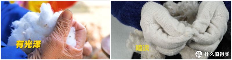 拆开百元棉被，里面全是黑心棉？！