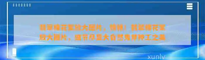 翡翠棉花絮放大图片，惊艳！翡翠棉花絮放大图片，细节尽显大自然鬼斧神工之美
