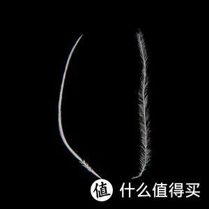 90%家庭中都会用到的5种被子选购攻略：怎么买+品牌推荐+注意事项（一篇解决所有）