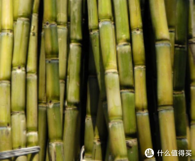 青皮甘蔗和紫皮甘蔗的差别,你知道哪个榨糖吗?