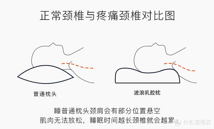 什么样的枕头睡起来最舒服？分享我的乳胶枕选购经验