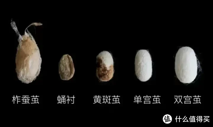被子选购攻略!羽绒被应该如何选?聚酯纤维被值得买吗?桑蚕丝和柞蚕丝选哪个?超舒服的夏凉被推荐!