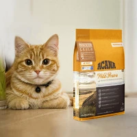猫粮怎么选哪个牌子好？教你4招：根据猫粮颗粒选猫粮