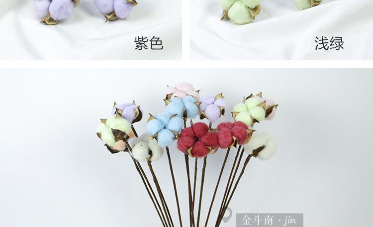 彩色棉花 彩色棉花做什么