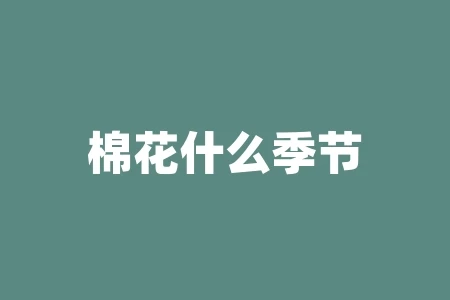 棉花什么季节旺季?棉花可以长成什么? 棉花什么季节旺季?棉花可以长成什么?