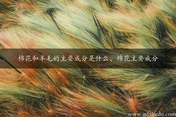 棉花和羊毛的主要成分是什么,棉花主要成分
