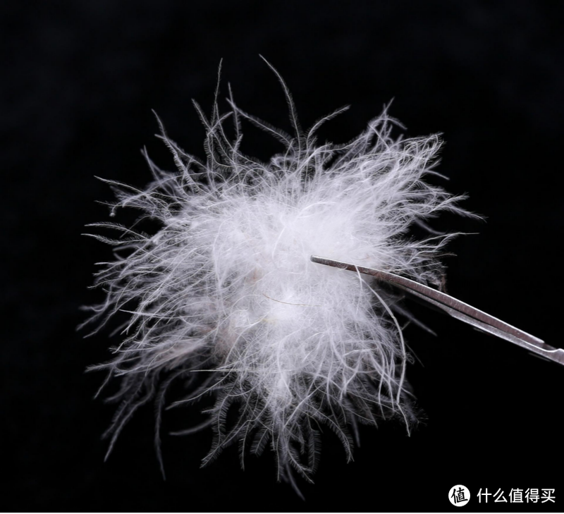 别再盖8斤重的棉被了！这个有温度的睡眠方案快拿去