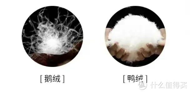 被子选购攻略!羽绒被应该如何选?聚酯纤维被值得买吗?桑蚕丝和柞蚕丝选哪个?超舒服的夏凉被推荐!