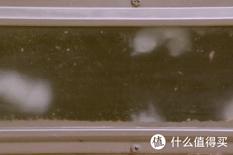 原来一次性内裤不是纯棉的最好!真的是这样吗?