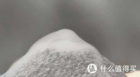 买被子拒绝人傻钱多!6种被芯大对比,又厚又重的被子该换了!