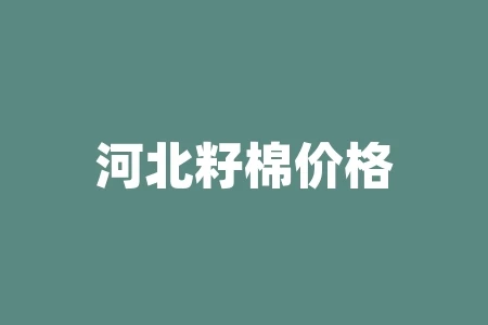 河北籽棉价格最新行情 2022到2023年棉花价格会怎么样 河北籽棉价格最新行情 2022到2023年棉花价格会怎么样