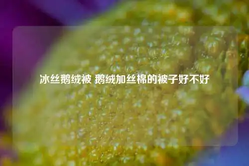 冰丝鹅绒被 鹅绒加丝棉的被子好不好