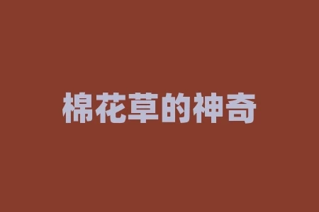 棉花草的神奇功效与作用:舒缓皮肤除痘痘 棉花草的神奇功效与作用:舒缓皮肤除痘痘