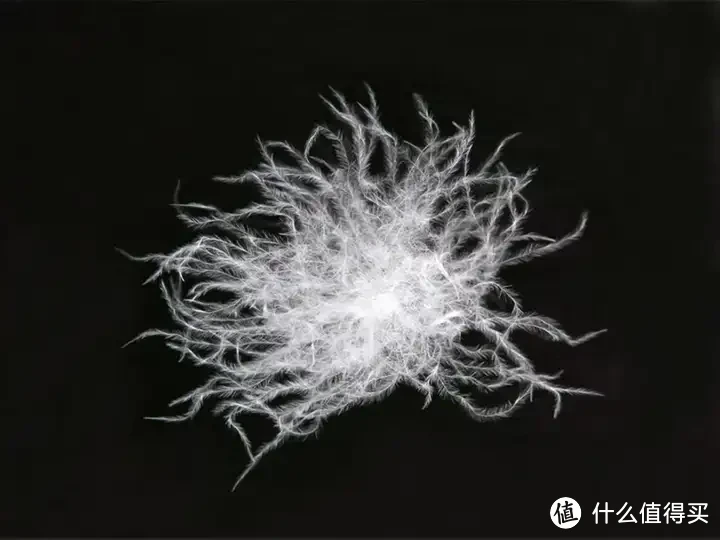 鹅绒被推荐,高性价比鹅绒被推荐