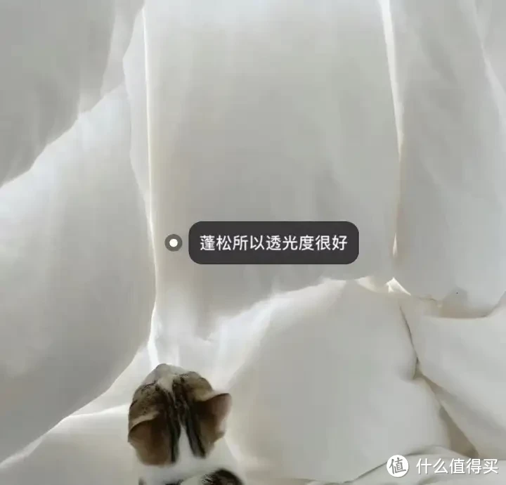 鹅绒被推荐,高性价比鹅绒被推荐