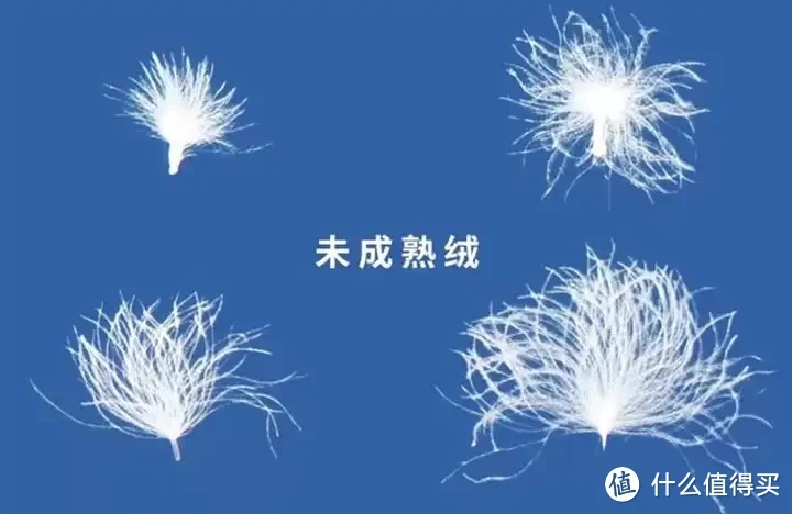 鹅绒被推荐,高性价比鹅绒被推荐